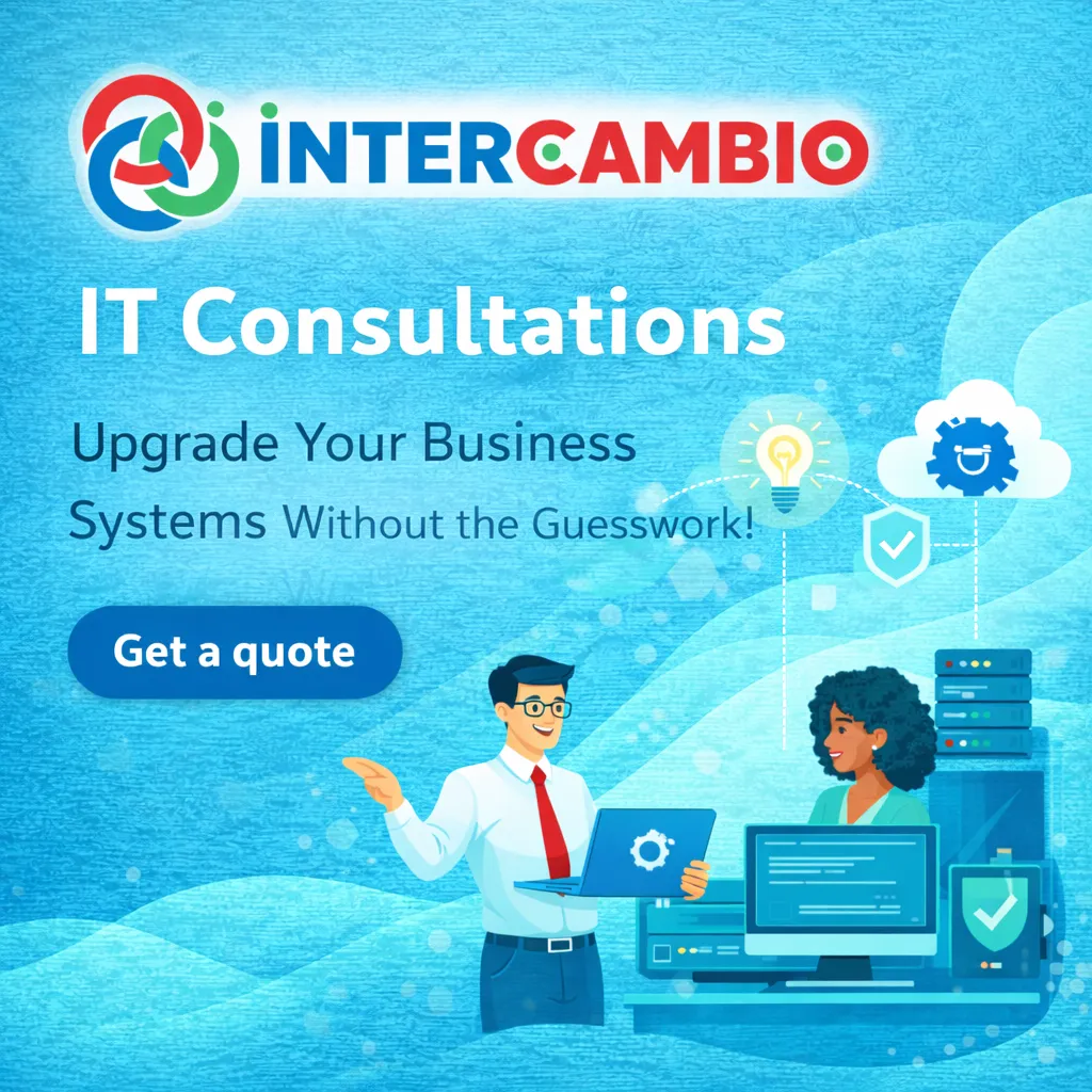 IT Consultation Services